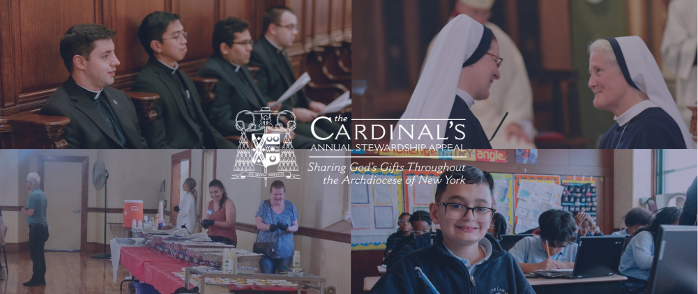 CASA 2026 Donation Banner(1).png