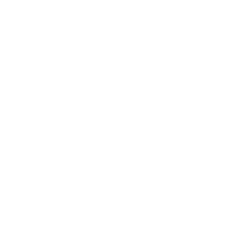 Instagram white in circle