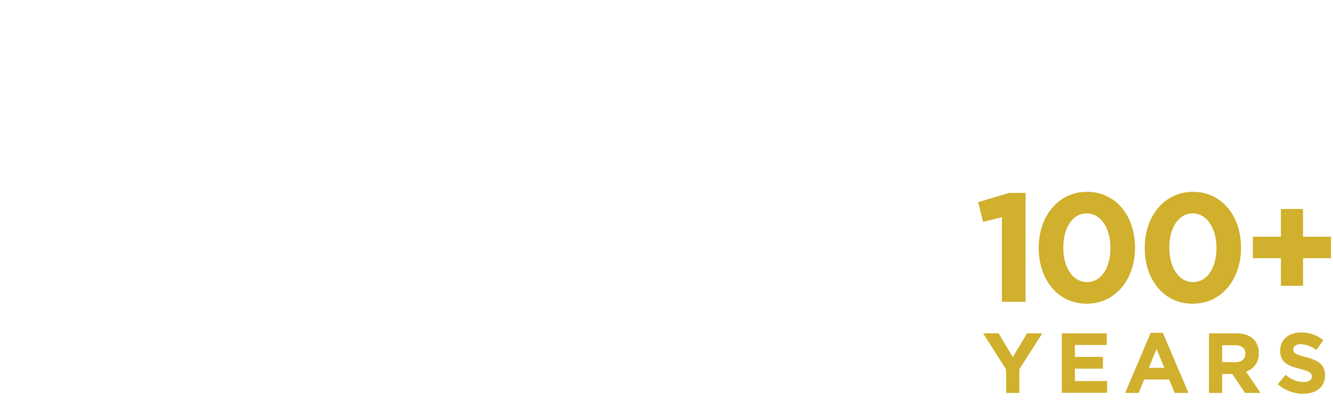 Catholic Charities of NY